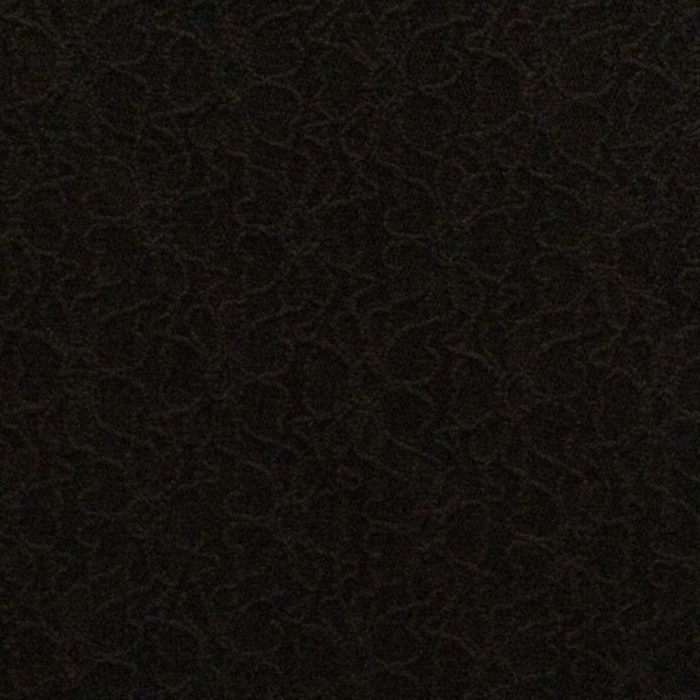 Stripes - Picture 3 of 3